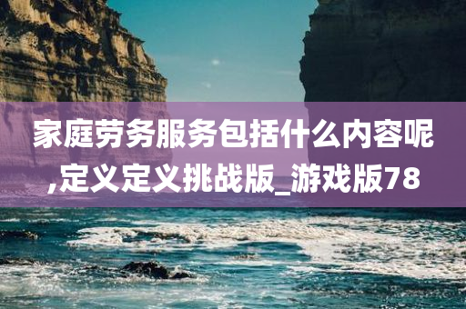 家庭劳务服务包括什么内容呢,定义定义挑战版_游戏版78