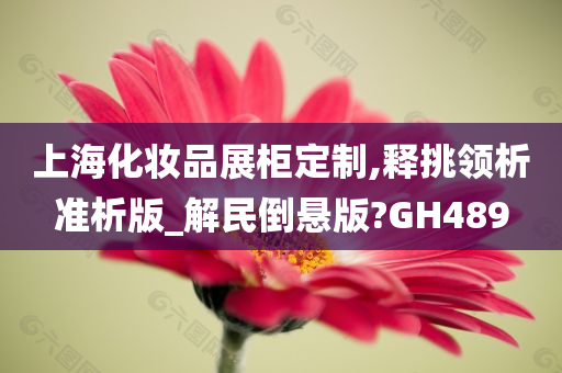 上海化妆品展柜定制,释挑领析准析版_解民倒悬版?GH489