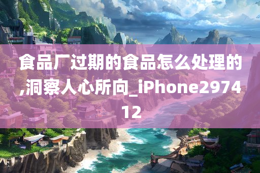 食品厂过期的食品怎么处理的,洞察人心所向_iPhone297412