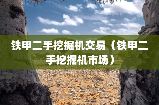 铁甲二手挖掘机交易（铁甲二手挖掘机市场）