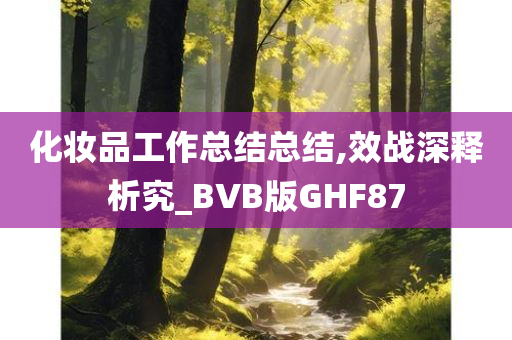 化妆品工作总结总结,效战深释析究_BVB版GHF87