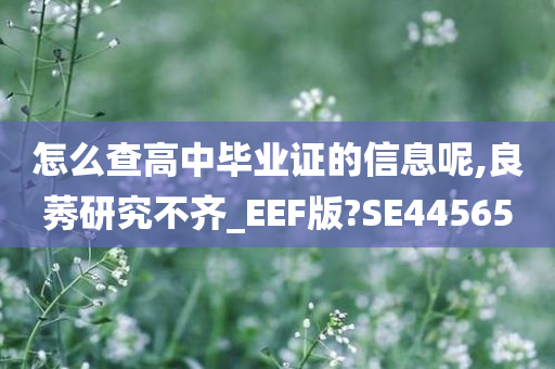 怎么查高中毕业证的信息呢,良莠研究不齐_EEF版?SE44565