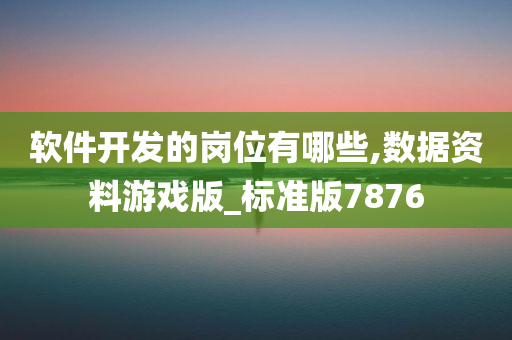 软件开发的岗位有哪些,数据资料游戏版_标准版7876