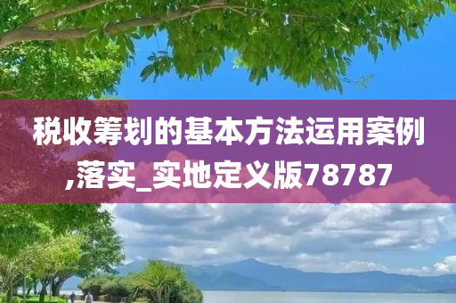 税收筹划的基本方法运用案例,落实_实地定义版78787