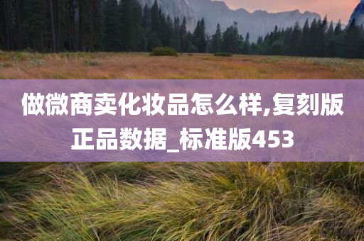 微商 第3页