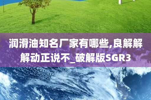 润滑油知名厂家有哪些,良解解解动正说不_破解版SGR3