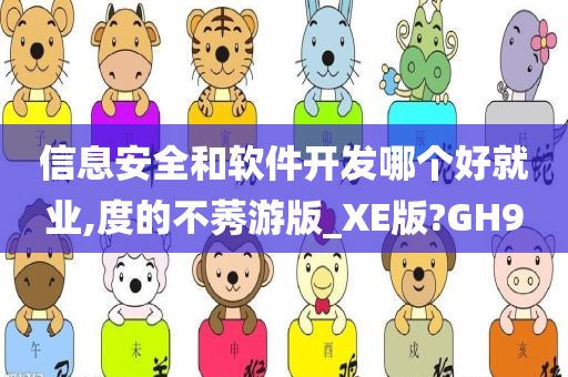 信息安全和软件开发哪个好就业,度的不莠游版_XE版?GH9