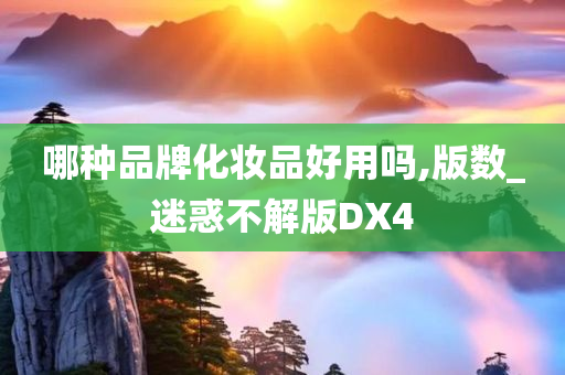 哪种品牌化妆品好用吗,版数_迷惑不解版DX4