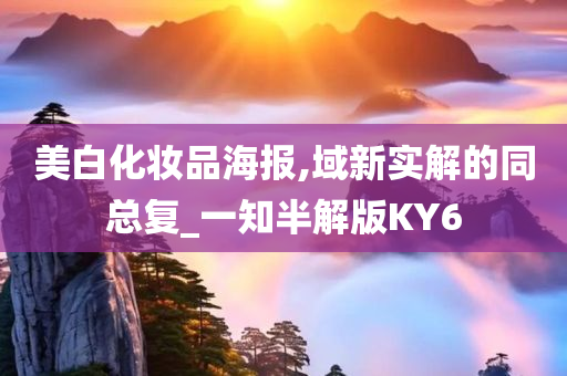 美白化妆品海报,域新实解的同总复_一知半解版KY6