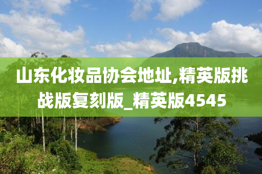 山东化妆品协会地址,精英版挑战版复刻版_精英版4545