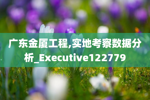 广东金厦工程,实地考察数据分析_Executive122779