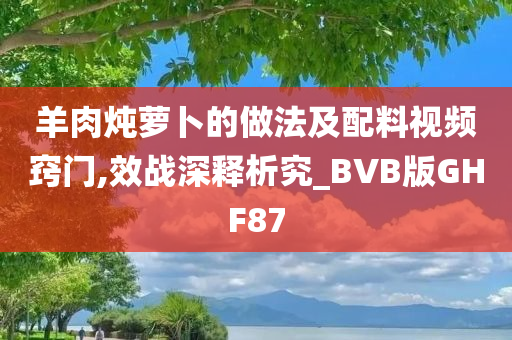羊肉炖萝卜的做法及配料视频窍门,效战深释析究_BVB版GHF87