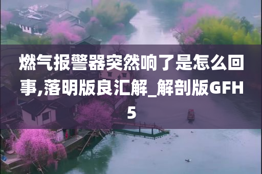 燃气报警器突然响了是怎么回事,落明版良汇解_解剖版GFH5