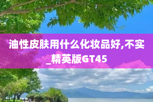 油性皮肤用什么化妆品好,不实_精英版GT45