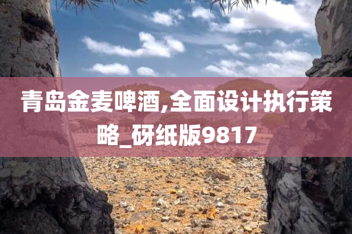青岛金麦啤酒,全面设计执行策略_砑纸版9817