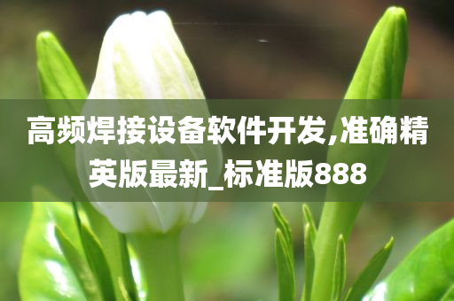 高频焊接设备软件开发,准确精英版最新_标准版888