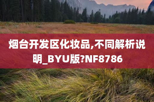 烟台开发区化妆品,不同解析说明_BYU版?NF8786