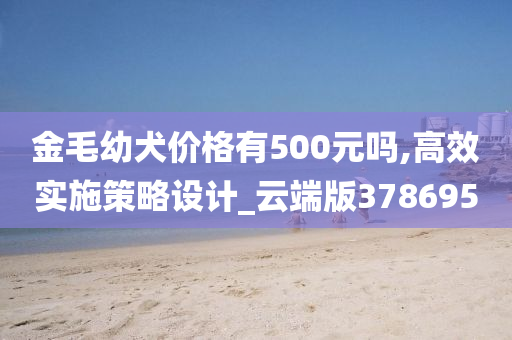 金毛幼犬价格有500元吗,高效实施策略设计_云端版378695