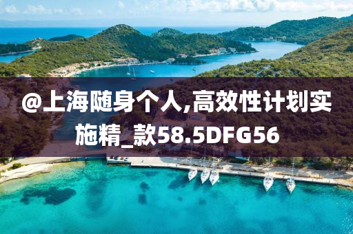 @上海随身个人,高效性计划实施精_款58.5DFG56