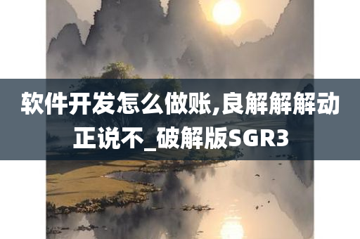 软件开发怎么做账,良解解解动正说不_破解版SGR3