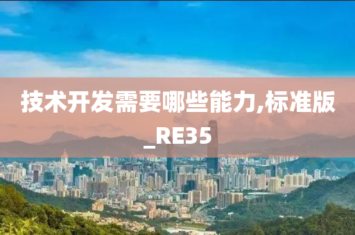 技术开发需要哪些能力,标准版_RE35