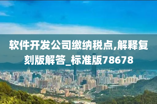 软件开发公司缴纳税点,解释复刻版解答_标准版78678