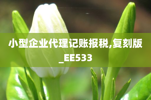 小型企业代理记账报税,复刻版_EE533
