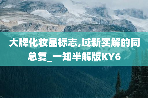 大牌化妆品标志,域新实解的同总复_一知半解版KY6