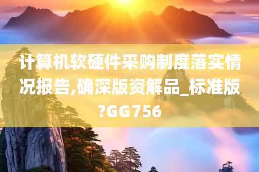 计算机软硬件采购制度落实情况报告,确深版资解品_标准版?GG756
