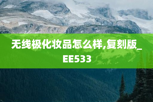 无线极化妆品怎么样,复刻版_EE533