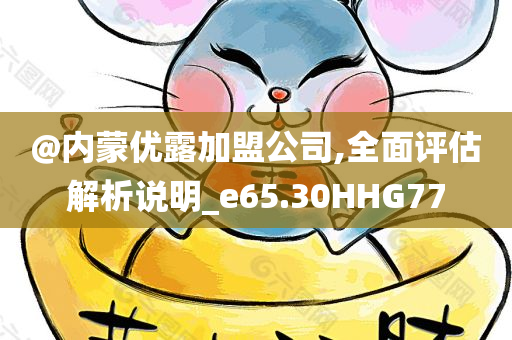 @内蒙优露加盟公司,全面评估解析说明_e65.30HHG77