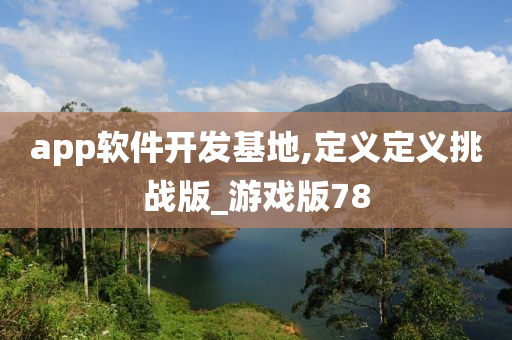 app软件开发基地,定义定义挑战版_游戏版78