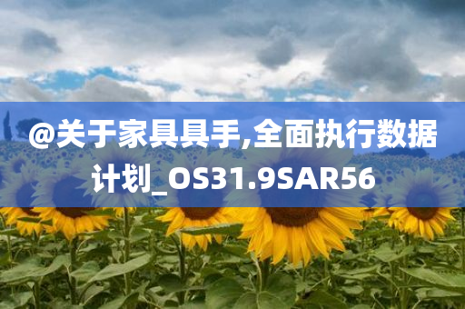 数据计划