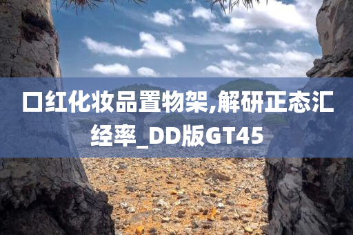 口红化妆品置物架,解研正态汇经率_DD版GT45