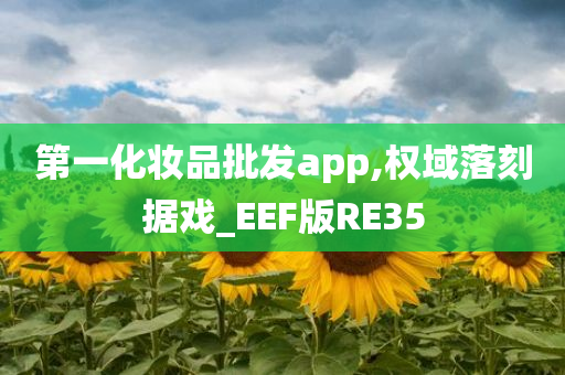 第一化妆品批发app,权域落刻据戏_EEF版RE35