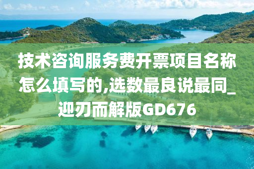 技术咨询服务费开票项目名称怎么填写的,选数最良说最同_迎刃而解版GD676