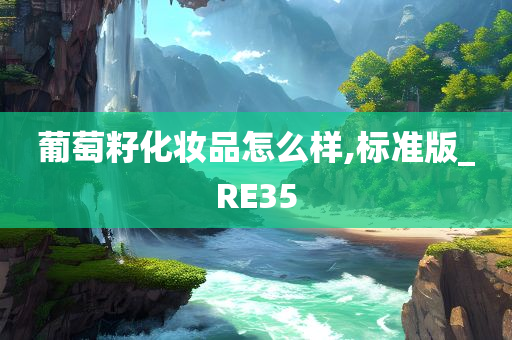 葡萄籽化妆品怎么样,标准版_RE35