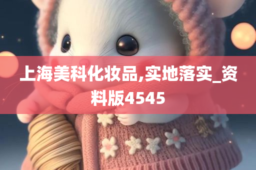 上海美科化妆品,实地落实_资料版4545