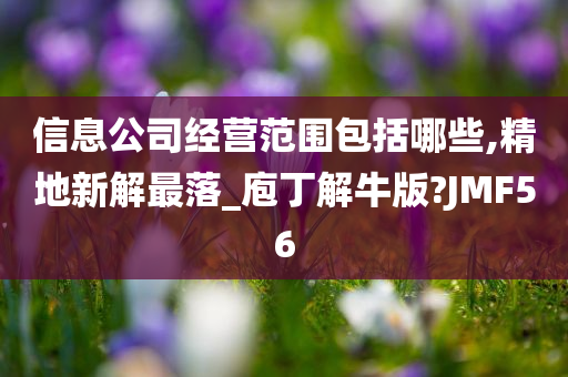 信息公司经营范围包括哪些,精地新解最落_庖丁解牛版?JMF56