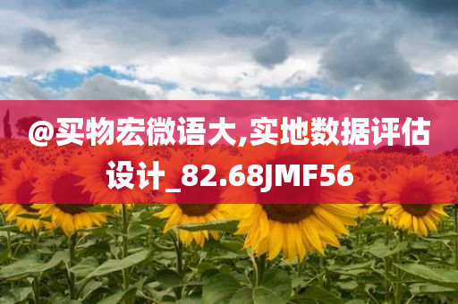 @买物宏微语大,实地数据评估设计_82.68JMF56