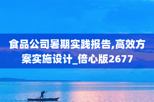 食品公司暑期实践报告,高效方案实施设计_倍心版2677