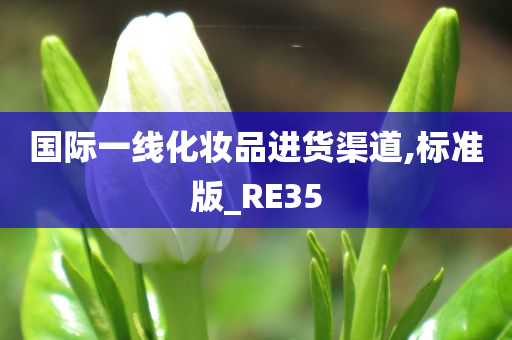 国际一线化妆品进货渠道,标准版_RE35今晚必出三肖2025_2025新澳门精准免费提供·精确判断
