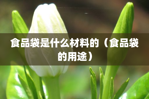 食品袋是什么材料的（食品袋的用途）