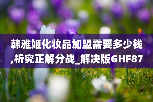 韩雅姬化妆品加盟需要多少钱,析究正解分战_解决版GHF87