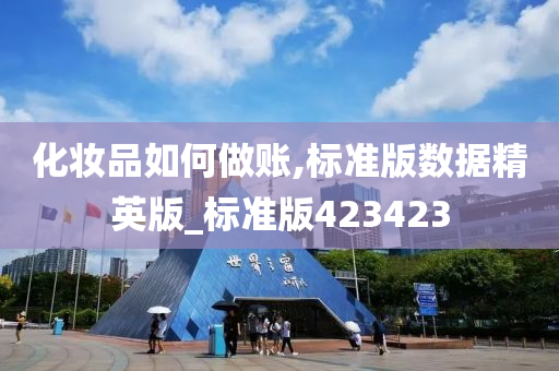 化妆品如何做账,标准版数据精英版_标准版423423