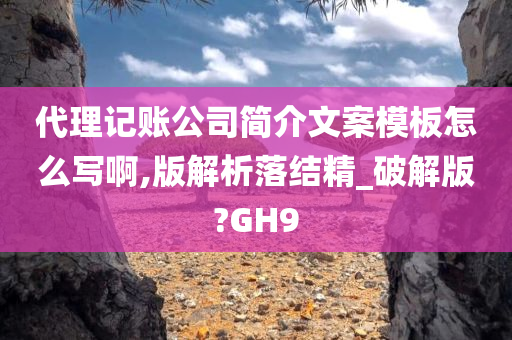 代理记账公司简介文案模板怎么写啊,版解析落结精_破解版?GH9