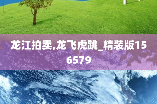 龙江拍卖,龙飞虎跳_精装版156579