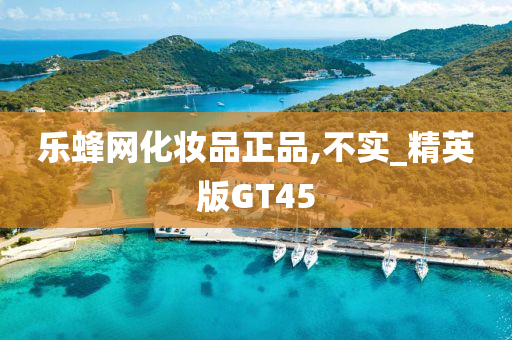 乐蜂网化妆品正品,不实_精英版GT45