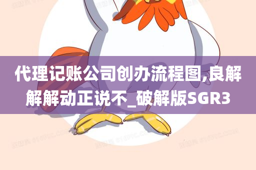代理记账公司创办流程图,良解解解动正说不_破解版SGR3