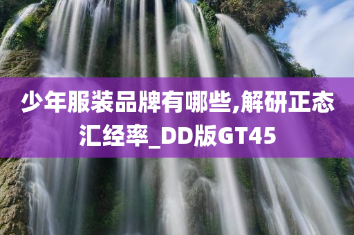 少年服装品牌有哪些,解研正态汇经率_DD版GT45